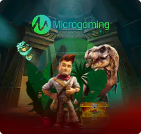 Micro Gaming